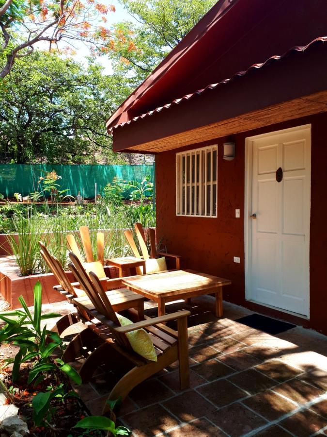 Hotel Casa Mapache Tamarindo Exterior foto