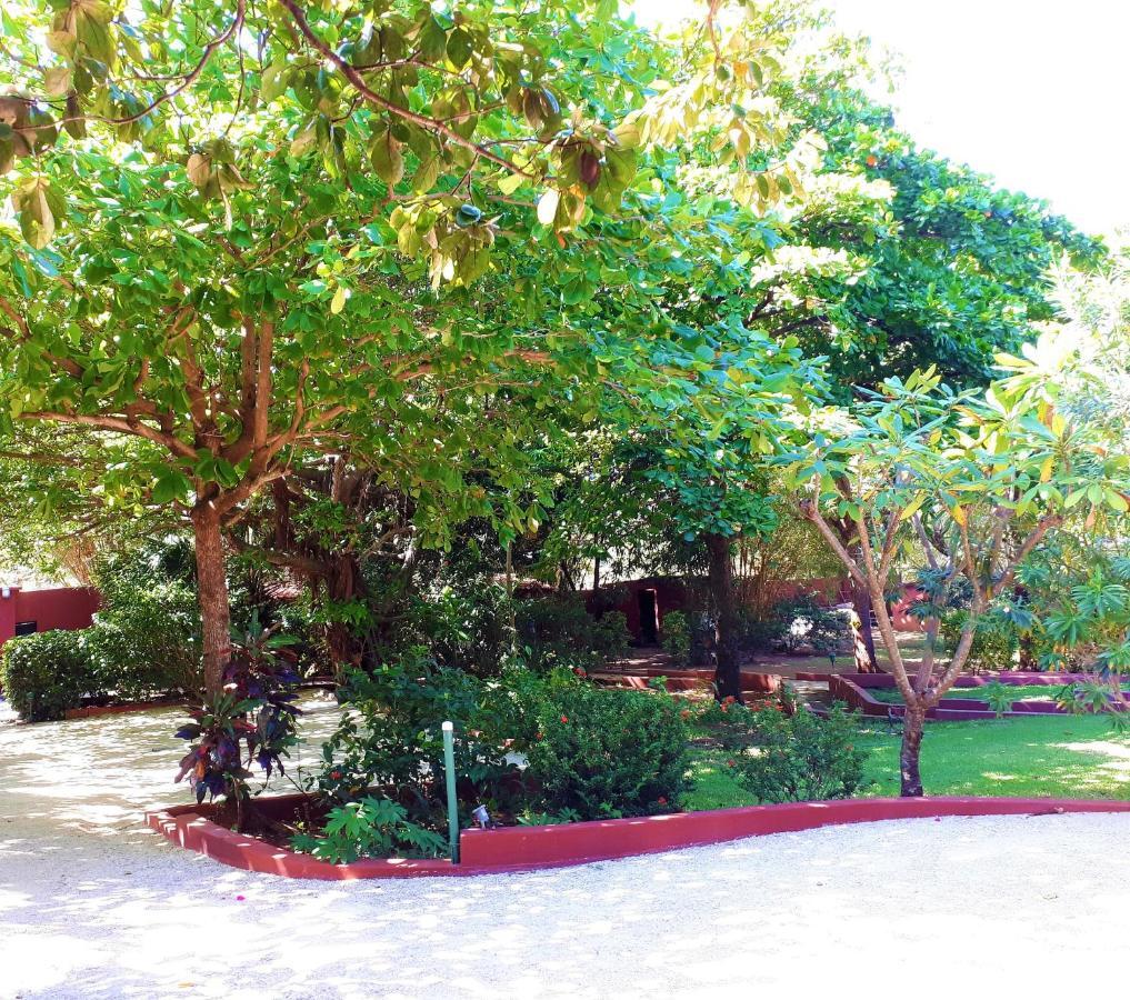 Hotel Casa Mapache Tamarindo Exterior foto